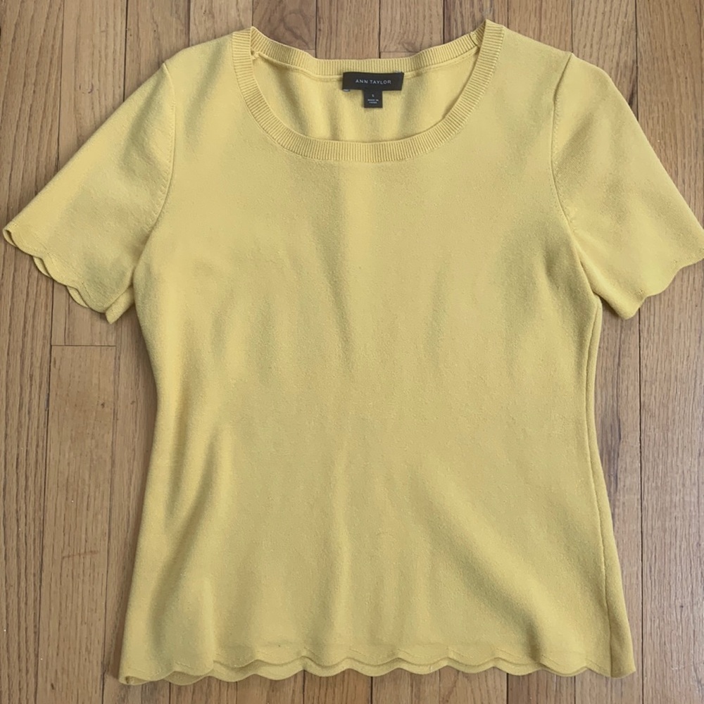 Ann Taylor work shirt